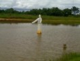 /album/sete-quedas/cristo2-jpg/
